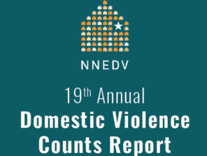 NNEDV report